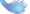 Fiber
